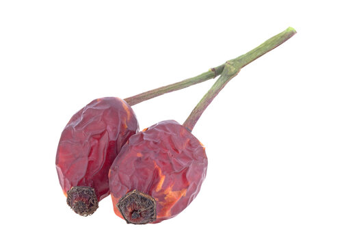 Dried rose hips isolated on white background