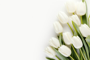 White tulip flowers over white background with space for text