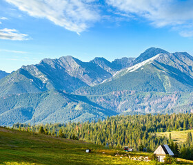 Fototapeta na wymiar Summer mountain village outskirts with barn and flock of sheep near (Tatra range behind, Poland)