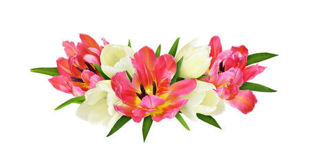 Coral and white tulip flowers in a floral arrangement isolated on white or transparent background