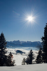 View over sea of clouds in swiss alps on sunny day