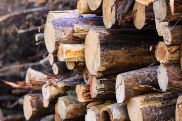 A pile of sawn logs on a field.