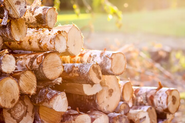 A pile of sawn logs on a field.