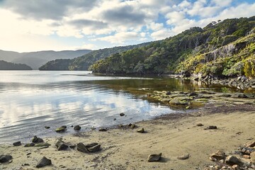 Sandy beach with tall cliffs in New Zealand