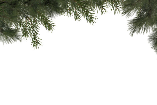 Christmas Tree Branch Photo overlays,  Pine green branch isolated on  transporent background, frame border , winter New Year, holiday, xmas,  photo sessia, PNG