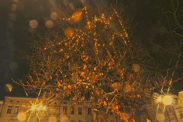 Christmas lights on the tree – Lubliniec, city square. Christmas 2023