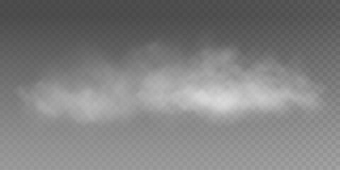 Fog or smoke insulated transparent special effect. White vector background of cloudiness, fog or smog. Vector illustration - obrazy, fototapety, plakaty