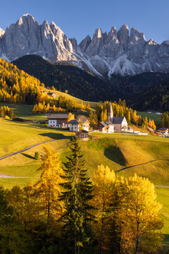 Autumn colours in Santa Maddalena in Val di Funes, South Tyrol in the Italian Dolomites in warm sunset 