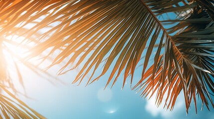 Fototapeta na wymiar A beautiful palm tree in a sunny day Generative AI