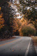 Obraz premium Beatifull streets during autumn in Georgia, Tallulah Falls 