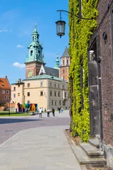 Schapenvacht deken met foto Krakau Wawel cathedral and castle in Krakow, Poland.