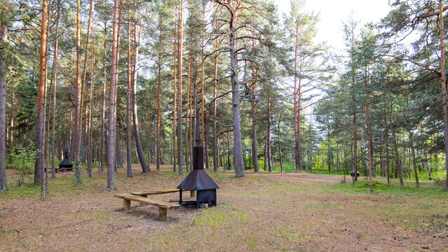 Empty RMK campsite in a forest in Estonia, Europe