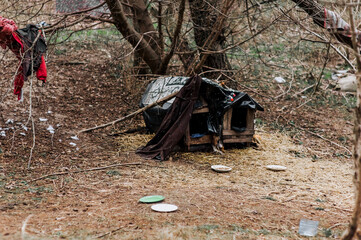 A wooden homemade booth, a house for dogs with clothes for warmth, stands in the open air.