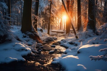  a stream running through a snow covered forest with the sun shining through the trees on the other side of the stream, with snow on the ground and in the foreground.