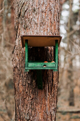 A homemade wooden birdhouse made of boards with food, apples for feeding birds and animals hangs on a tree in the forest.