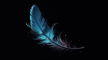  a black background with a blue and black feather on the left side of the image and a black background with a white and blue feather on the right side of the left side.