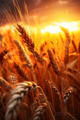 wheat in field, photorealistic, cinematic, macro photography, realistic, detailed, long exposure, magical nature photography created with Generative Ai