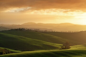 Fototapeta premium warm sunrise landscape in the rolling hills of Tuscany with green fields and trees