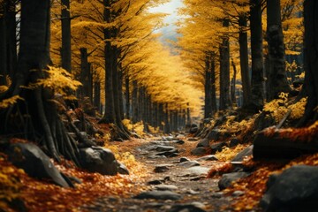 Enchanted Autumn Forest Path: A captivating path through a forest with trees adorned in golden autumn leaves, creating an enchanting and serene atmosphere. 