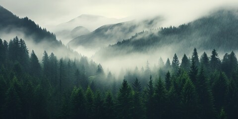 Misty Mountainside Forest Generative AI - obrazy, fototapety, plakaty