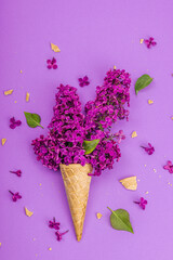 Violet lilac flowers in waffle ice cream cones on purple background. Flat lay, spring concept