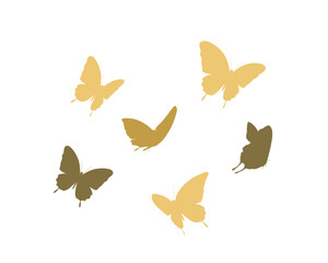 butterflies isolated on white