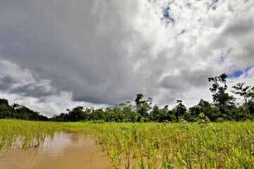 Reise auf dem Amazonas