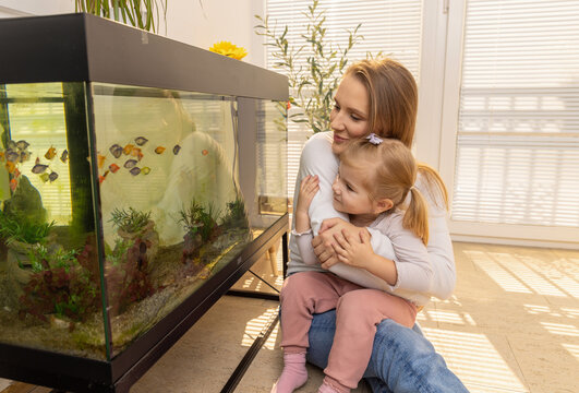 Little girl watching fishes in fish tank with her mother