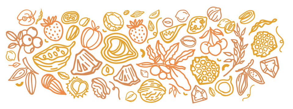 Granola hand drawn vector set. Crunches. Oats with fruits, berries, nuts, cocoa, tasty cereal ingredients.