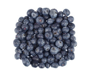 fresh picked blueberry isolated on white background