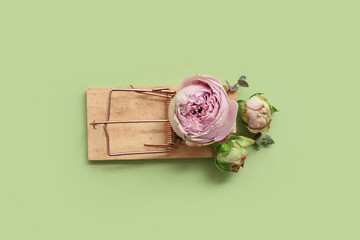 Wooden mousetrap with beautiful rose flowers on color background