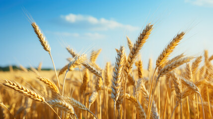 Fototapeta premium View of a creative workspace with an open laptop, various documents featuring colorful infographics and graphs