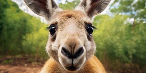 Foto op Plexiglas Funny and cute kangaroo close-up, animals of Australia. Generative AI © 22_monkeyzzz