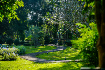 The garden next to the water is lush and green, suitable for relaxing.