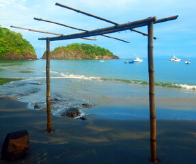 Costa Rica sea life