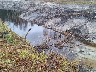 ditch with beaver dam