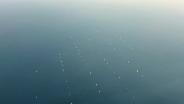 Aerial view of offshore wind farm with wind turbines on the North Sea, the Netherlands, Europe. Several large white and yellow wind turbines, wind mills on a blue, calm, sea. High quality Stock 4K