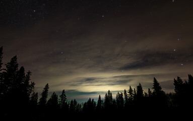 A nighttime image of an evergreen forest and a sky with moon lit clouds and scattered stars. Weak Aurora can be seen through the trees along the horizon.
