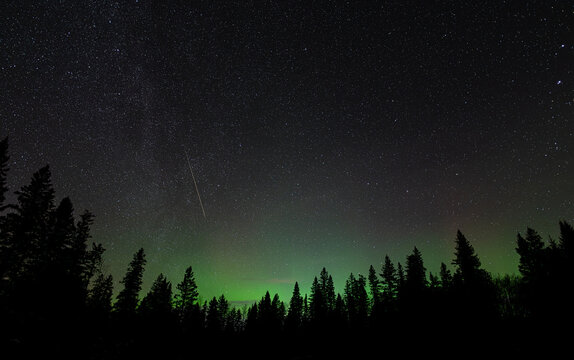 A night sky image of a star filled sky with a bright meteor and green Aurora.  The midground is filled with silhouettes of spruce and pine trees.  The image has a calm appearance.
