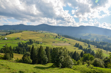 Beautiful view of green grassy valley, trees and rural mountain landscape on bright summer day. Beauty of nature, tourism, traveling and environmental preservation concept. Carpathians