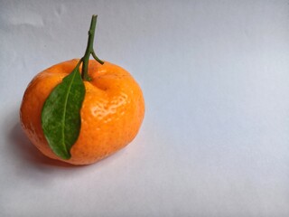 Single fresh Mandarin orange with stem and leaves