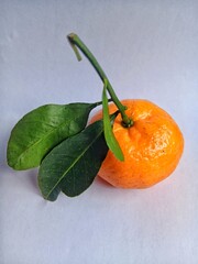 Single fresh Mandarin orange with stem and leaves