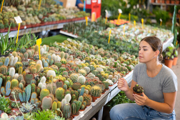 Cute woman choosing potted plants - different small prickly cactus for her home apartment in...