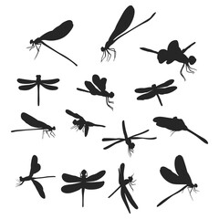 set of dragonfly silhouettes, insects, on white background - obrazy, fototapety, plakaty