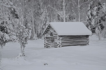 Old log cabin in the snowy swedish forest