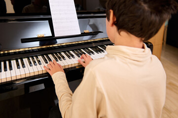 Rear view of a dark haired teenage boy playing grand piano at home. Arts. Culture and...