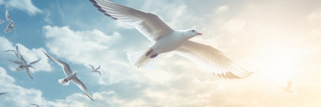 Birds in flight. Concept of grace and freedom of soaring birds