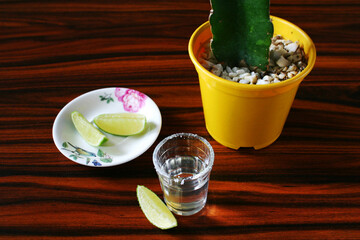 Tequila and cactus. Shot of typical drink of Mexico. Lime. Lemon.