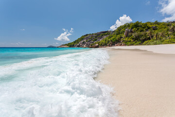 wave at beach with sunny sky