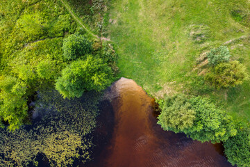 An aerial view captures the gentle confluence of a tawny river with the surrounding verdant landscape, a natural tapestry of earthy hues and vibrant greens.